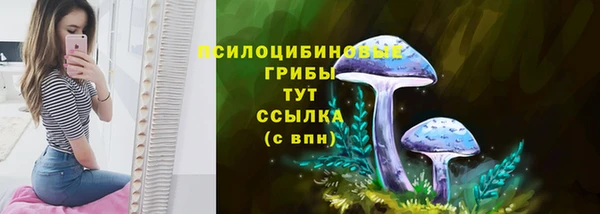 ECSTASY Нефтекумск