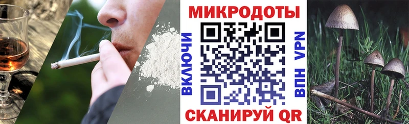Псилоцибиновые грибы Psilocybine cubensis  Райчихинск 